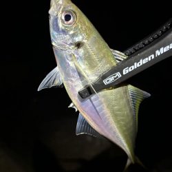 南大阪フロートゲーム