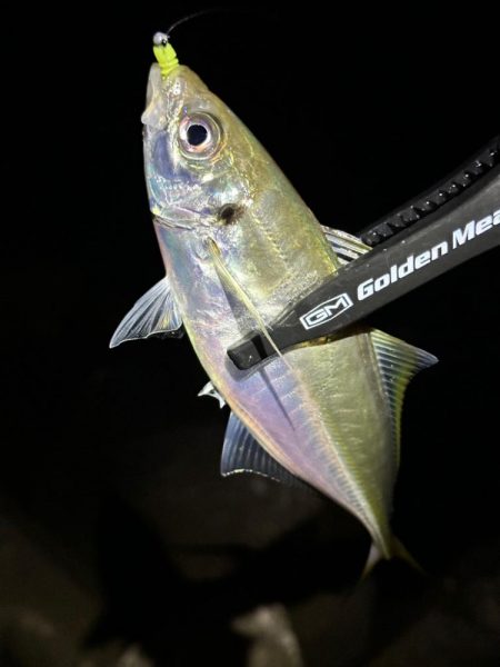 南大阪フロートゲーム