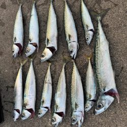 やっぱり釣り大好き！