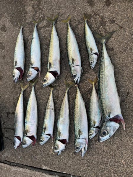 やっぱり釣り大好き！