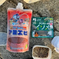 キス釣り、アジ釣り