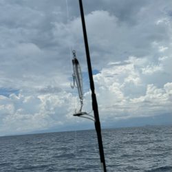 キハダキャスティングリベンジ