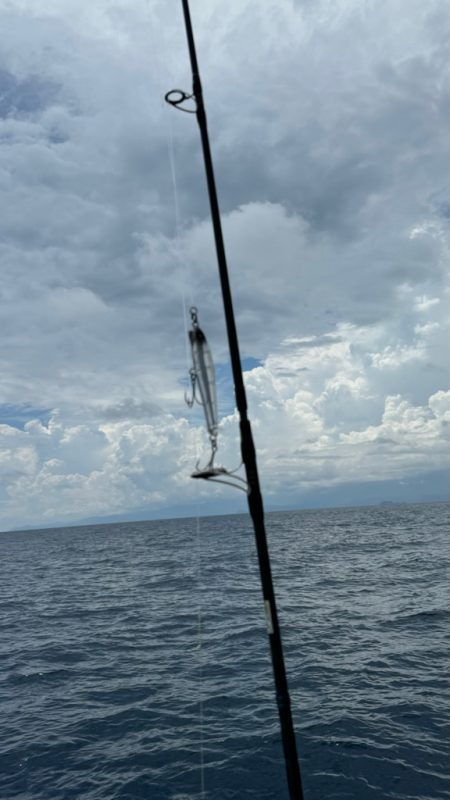 キハダキャスティングリベンジ