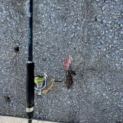 やはりまだちっちゃかった………