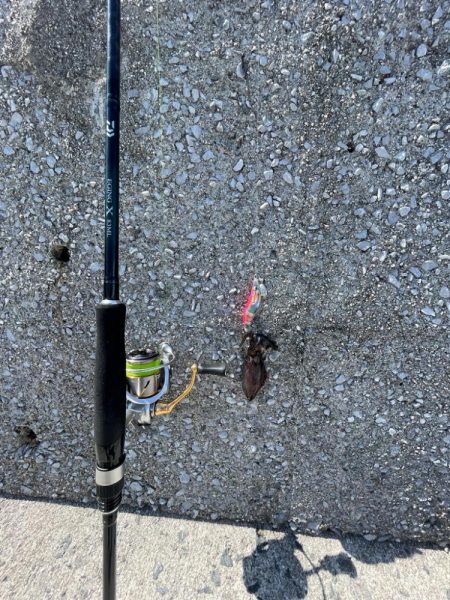 やはりまだちっちゃかった………