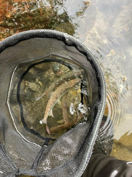 盆明けの避暑と竿新調