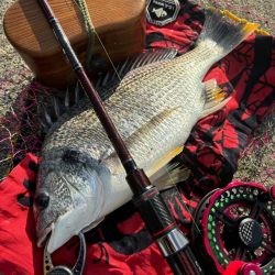 ヘチってきました