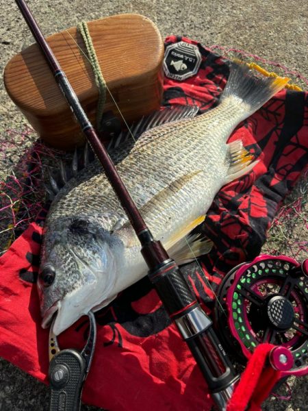 ヘチってきました