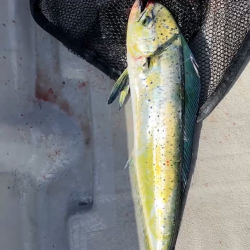 初オフショアキャスティング