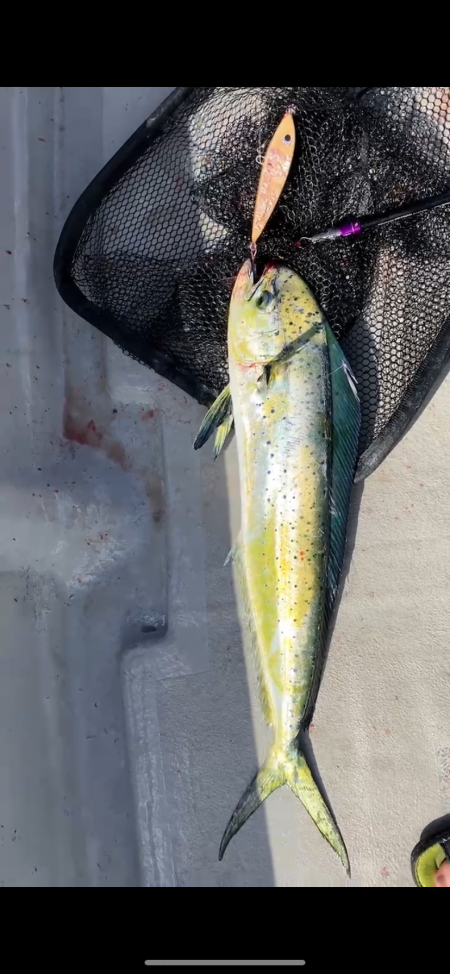 初オフショアキャスティング