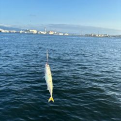 モウショアジギング