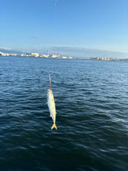 モウショアジギング