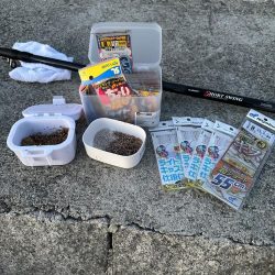 ちょい投げキス釣り