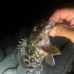 ライトロックゲーム