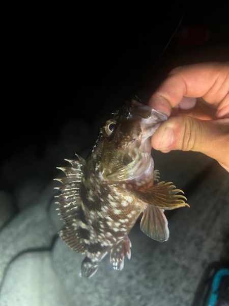 ライトロックゲーム