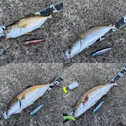 ローデッド大活躍