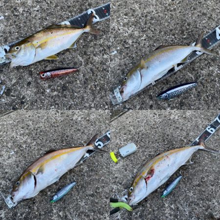 ローデッド大活躍