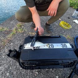 ワームテストアジング!