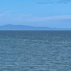 またまた、行ってしまいました。💦