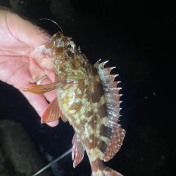 巨大湖の主。双魚竜