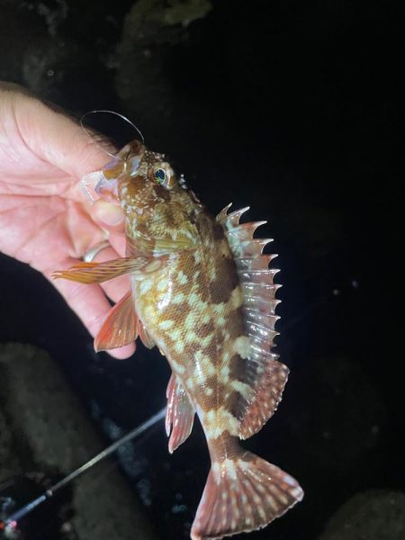 巨大湖の主。双魚竜