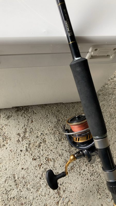 シロギス爆釣！