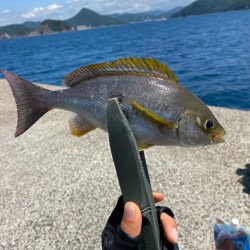 真夏の小浦一文字