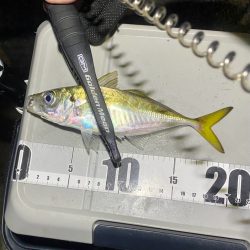 フロートアジング