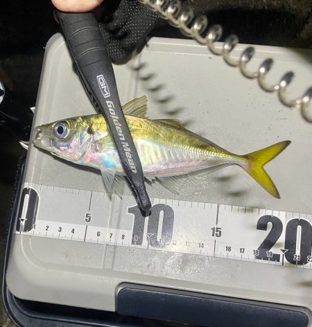 フロートアジング