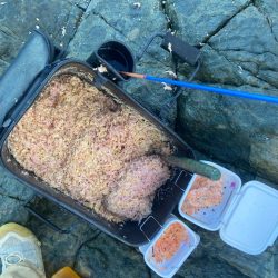 釣れれば40cmオーバーのチヌ