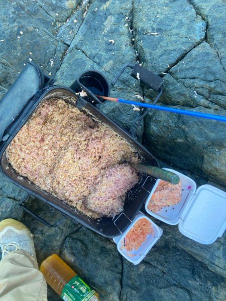 釣れれば40cmオーバーのチヌ