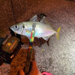 爆風シャロー攻略