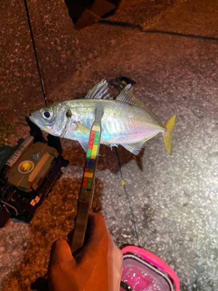 爆風シャロー攻略