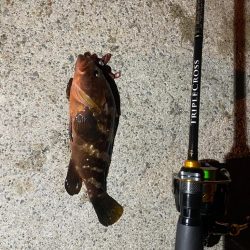 ツライトゲーム