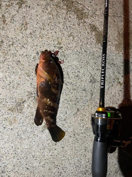 ツライトゲーム