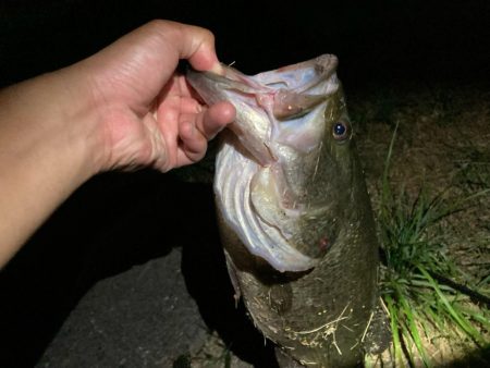 デカいワームで50up