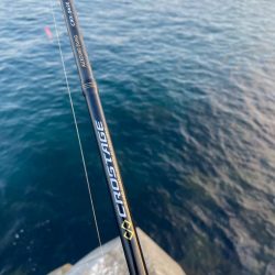 朝マズメエギング