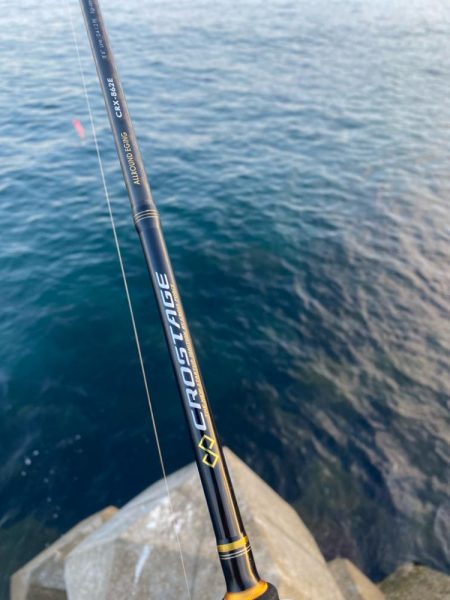 朝マズメエギング