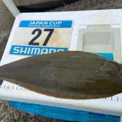 シロギスタ:ムニエリスタ