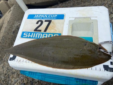 シロギスタ:ムニエリスタ