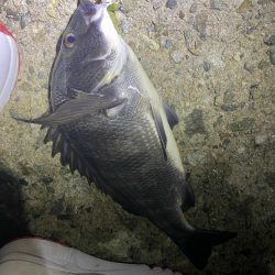 魔界の激安ジグヘッドの貫通は良き