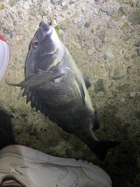 魔界の激安ジグヘッドの貫通は良き