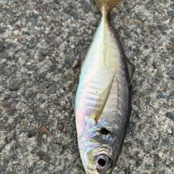 ジグサビキ　25