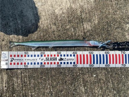 今日は渋めチヌトップ