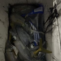 曇り時々晴れ後雷雨