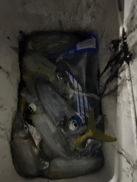 曇り時々晴れ後雷雨