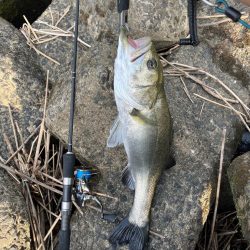 猛暑日で釣りは大変