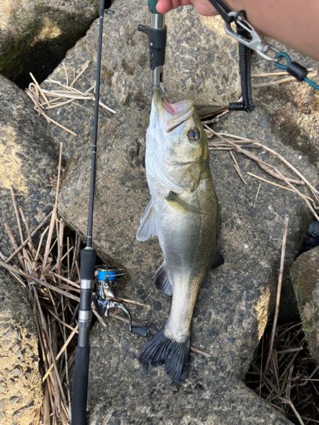 猛暑日で釣りは大変