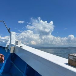 タチウオジギング