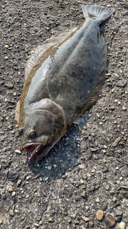 ステルス フィッシュ